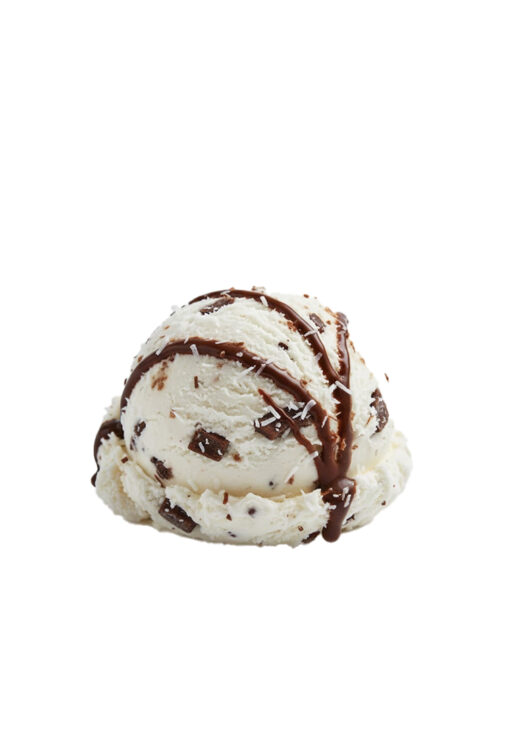 VEGAN COCONUT & CHOCOLATE