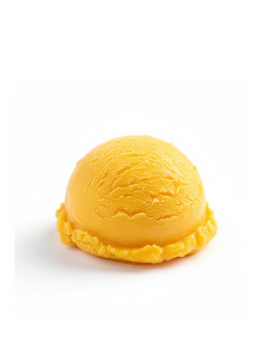 MANGO SORBET